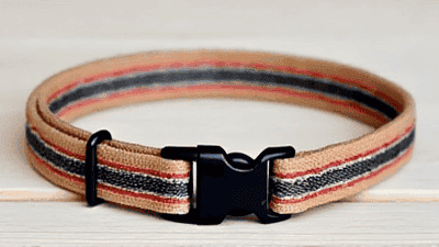 Choosing the Right Dog Collar: A Review of the Best Styles and Brands