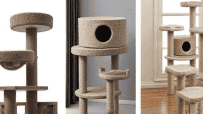 Comparison of the Top Cat Trees: A Guide to the Best Options for Your Feline