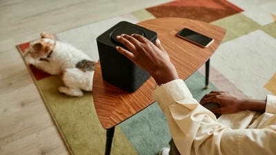Desensitizing Your Dog to Loud Noises: Techniques for a Calm Canine